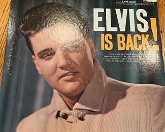 Elvis