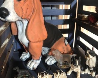 Dogs of all shapes, sizes and breeds