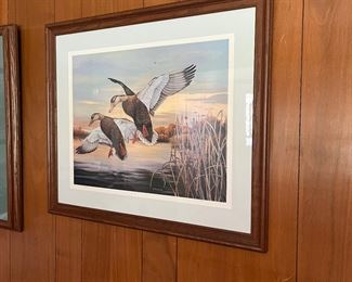 Ducks flying picture 