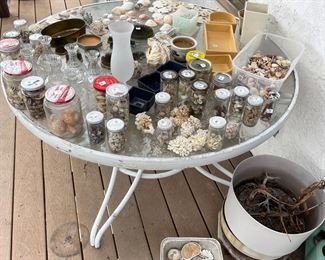 seashells and Bonsai - Japanese flower arranging supplies