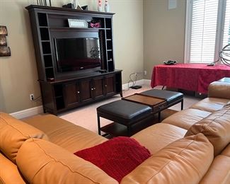 Lower level media room