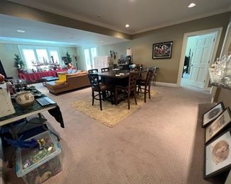 Lower level family room