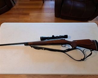REMINGTON 30.06