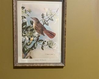 Mid Century Basil Ede Nightingale with Wild Honeysuckle