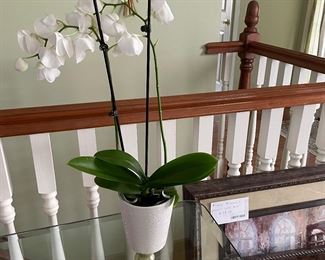 Artificial Orchid Plant with White Pot