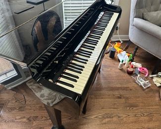 BUY IT NOW! $3000, Van Koevering Petite Grand Piano
