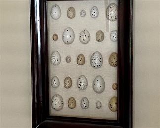 Pottery Barn Framed Egg Art