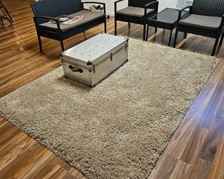 $50, Thomasville Marketplace "Andover" 5'3" x 7' Deep pile/shag rug, Excellent almost new