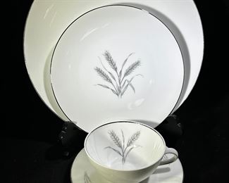  Bavarian Camelot Fine China  Autumn Harvest