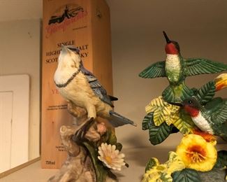 BLUE JAY AND HUMMINGBIRD