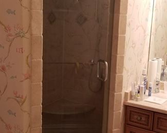 Shower door