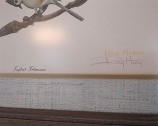 Ray Harm signature