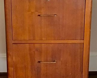 Mid Century 2-Drawer File Cabinet on Topredominant Brass Cap Feet (29”H x 22”W x 18’D