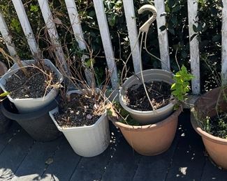 Outdoor Planters