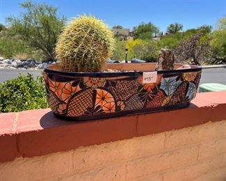 Large Talavera pot with golden barrel cactus 