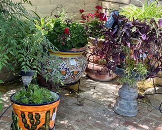 Garden pots