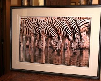 Signed Thomas D. Mangelsen Dry Season Zebra Photo Print Herd at Watering Hole Wildlife Photograph Frame: 29 x 39in