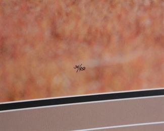 Large Signed Numbered Tom Mangelsen Patterns in the Grass Photography Print Framed Art Zebra Photo Print Herd Wildlife PhotographFrame: 27 x 40.5in