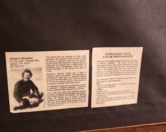 Large Signed Numbered Tom Mangelsen Patterns in the Grass Photography Print Framed Art Zebra Photo Print Herd Wildlife PhotographFrame: 27 x 40.5in