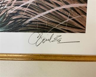 Huge Signed Numbered Litho Basil Ede Tundra Swan Lithograph Framed Art Print Frame: 40.5 x 53.in