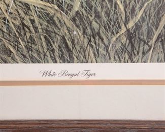 Signed Numbered Imogene Farnsworth White Bengal Tiger Litho Framed Art Print Frame: 32.5 x 28in