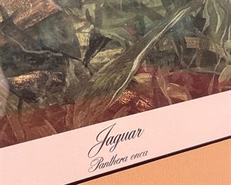 Signed Numbered Imogene Farnsworth White Jaguar Litho Framed Art Print Frame: 29x30in