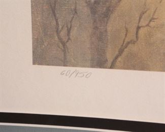 Signed Numbered Peter Darro Curious Zebra Foal Litho Baby Zebra Art Print Frame: 26.75 x 34.5in