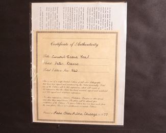 Signed Numbered Peter Darro Curious Zebra Foal Litho Baby Zebra Art Print Frame: 26.75 x 34.5in