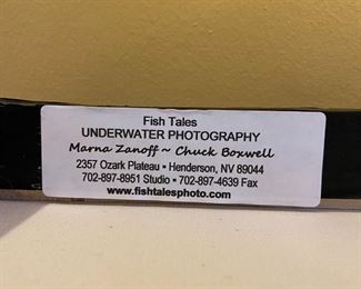 Signed/Numbered Chuck Boxwell Sun Coral Underwater canvas print 27 x 19