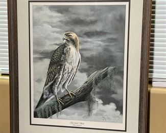 Signed Numbered Red-Tailed Hawk Litho I. H. Farnsworth Buteo Jamaicensis Frame: 29 x 24in