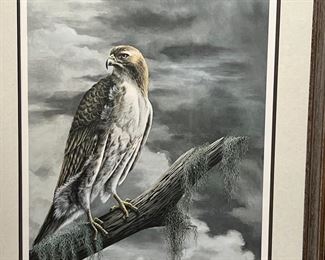 Signed Numbered Red-Tailed Hawk Litho I. H. Farnsworth Buteo Jamaicensis Frame: 29 x 24in