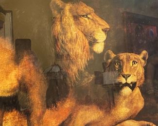 Framed Print 2 Lions Jacques Laurent Agasse Frame: 34 x 43.5in