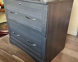 Contemporary 2-Drawer Lateral File Cabinet Faux Wood	30 x 30.5 x 22in	HxWxD
