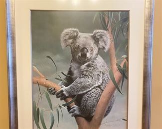 Signed/Numbered Charles Frace Koala Framed Litho Art Print 	Frame: 35x29in	
