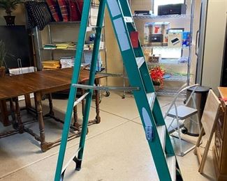 Werner 6ft Fiberglass Ladder		
