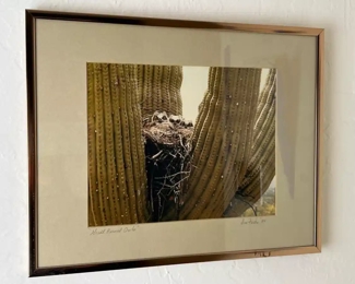 Framed Photo Don Fuska Great Horned Owls	Frame: 11.5 x 14.5in	
