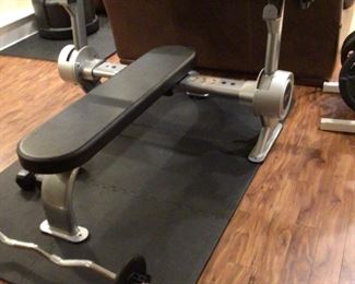 Bilt by Agassi and  Reyes high end adjustable bench press with 250 lbs weights rubber coated. $1185