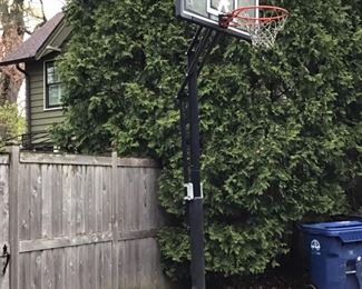 LIFETIME free standing professional height basketball hoop.  $150.  Selling at Dicks Sporting Goods $599