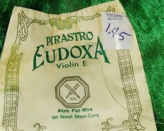 Tag in Violin Case