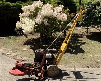 CAVA213 McLane Edger