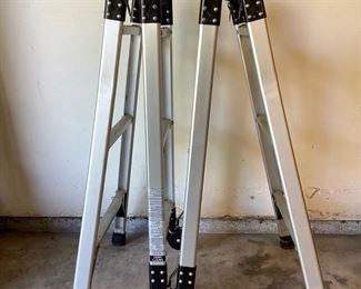 CAVA219 WestWay Extension Ladder