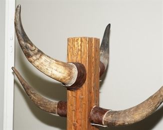 Detail of the Steer Horn Coat Rack