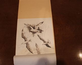 Interior view of Pencil sketches of Sea Gulls by Herb Ferris