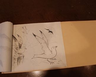 Interior view of Pencil sketches of Sea Gulls by Herb Ferris