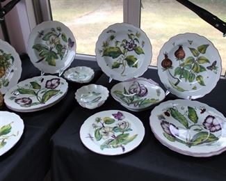 Up close view of the gorgeousness of the Mottahedeh Chelsea Botanical porcelain