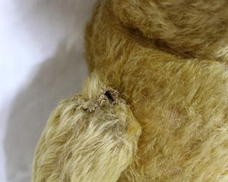 Detail on antique teddy bear