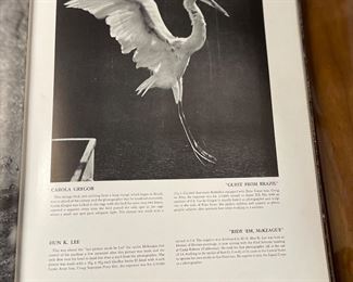 Filled with GREAT vintage photographs!