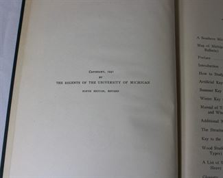 Interior of Michigan Trees