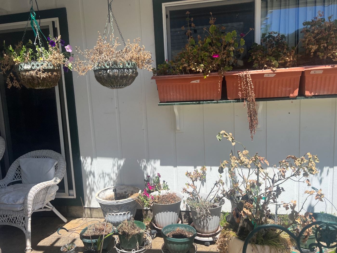 Something for everyone in Grants Pass, OR starts on 5/18/2023