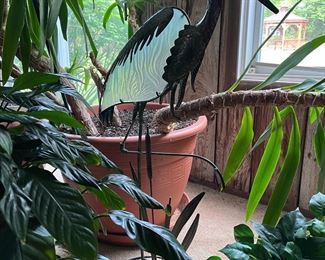 House plants galore!